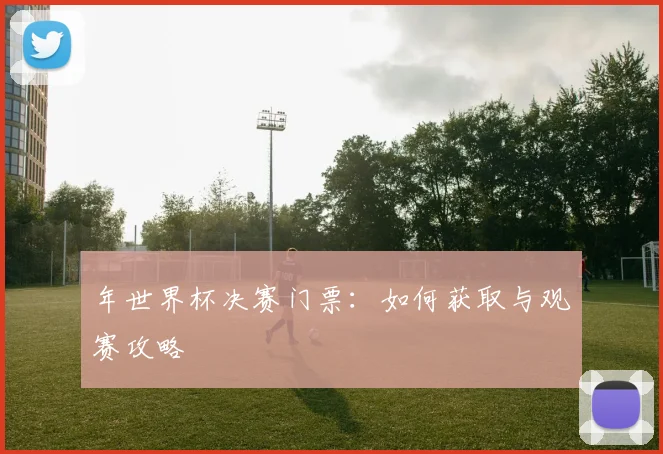 年世界杯决赛门票:如何获取与观赛攻略